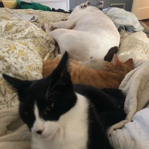 Meet your Posher, Devon